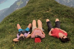 Musse auf dem Bällenhöchst, Juli  2019