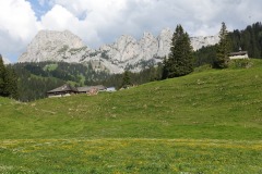 Naturschutzgebiet des Vanil Noir, Juli 2019