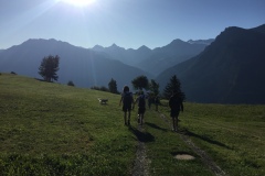 Sommermorgen im Rhonetal, August 2019