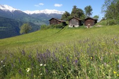 Suonenwanderung Mund , August 2019