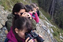 Wildbeobachtung Justistal, September 2017